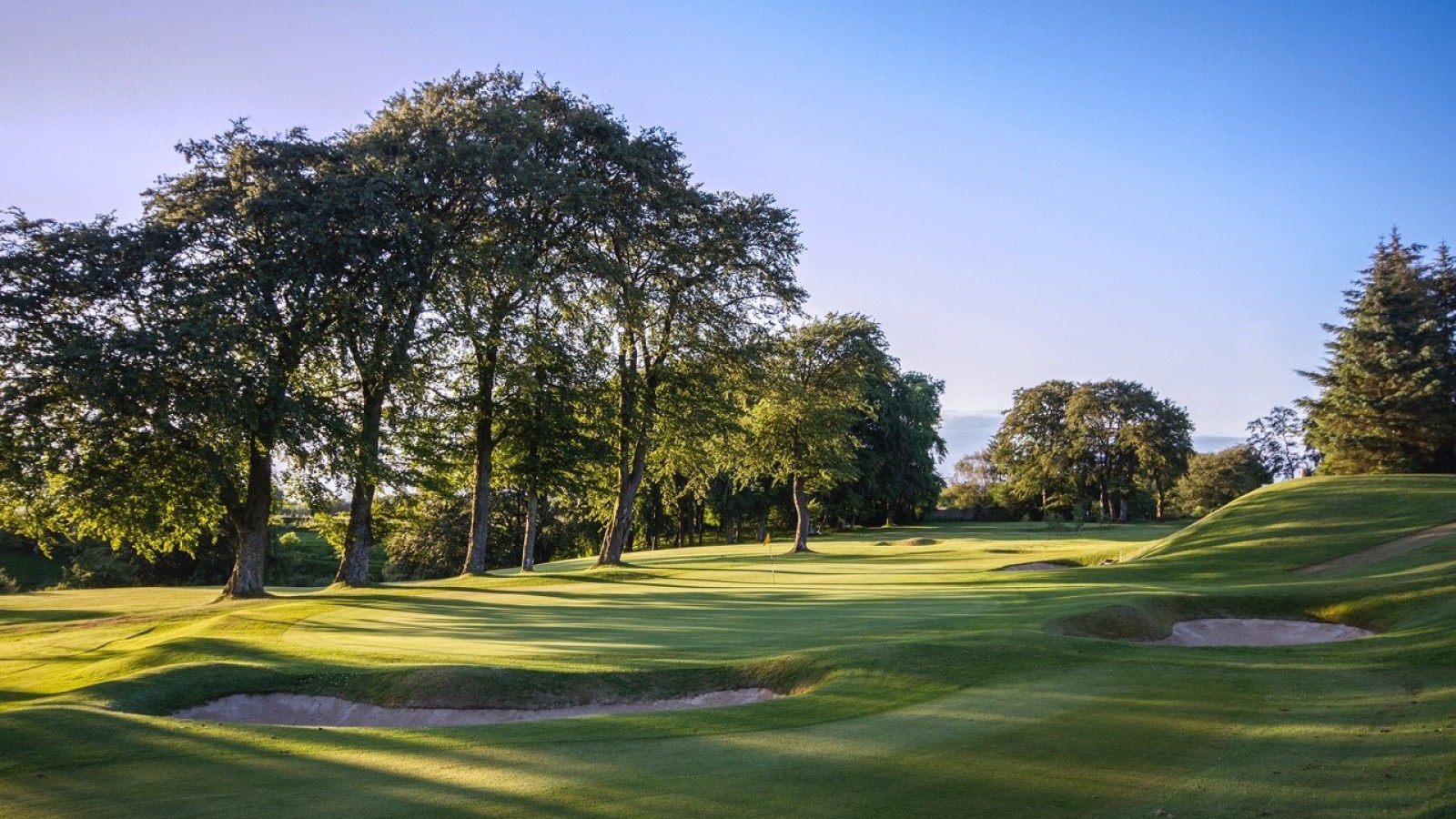 Trees on Golf Course Green with bunkers